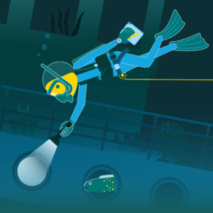 Corso specialità Wreck Diver PADI